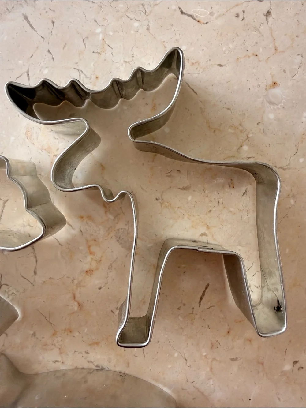 Hunting and Fishing Cookie Cutters Bear, Moose, Fish